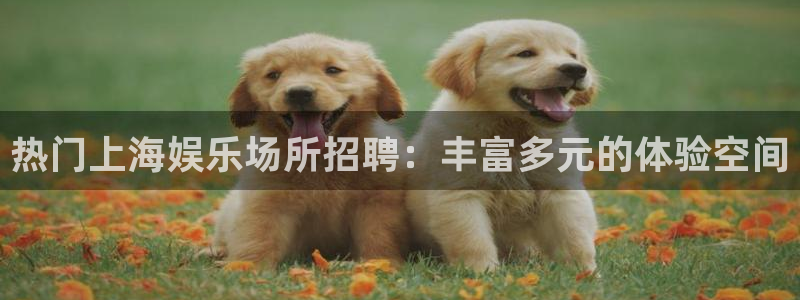 万事娱乐登录地址