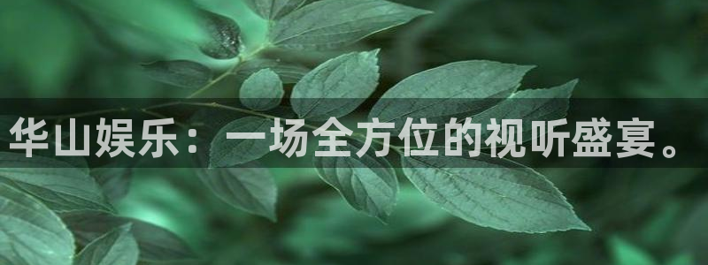 万事娱乐登录地址：华山娱乐：一场全方位的视听盛宴。