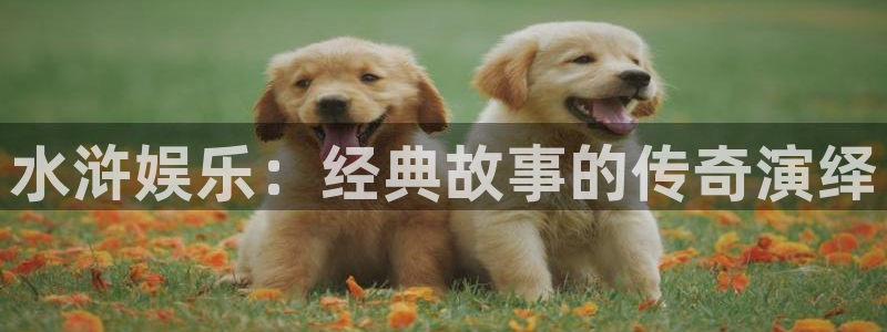 万事娱乐登录：水浒娱乐：经典故事的传奇演绎