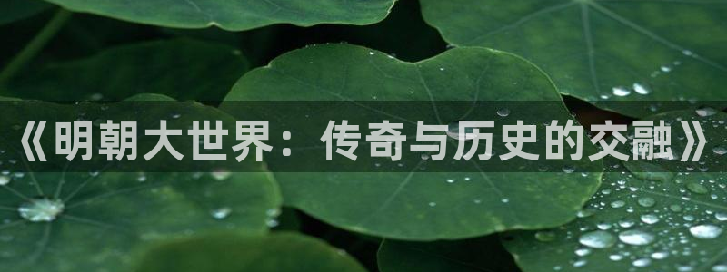 万事娱乐