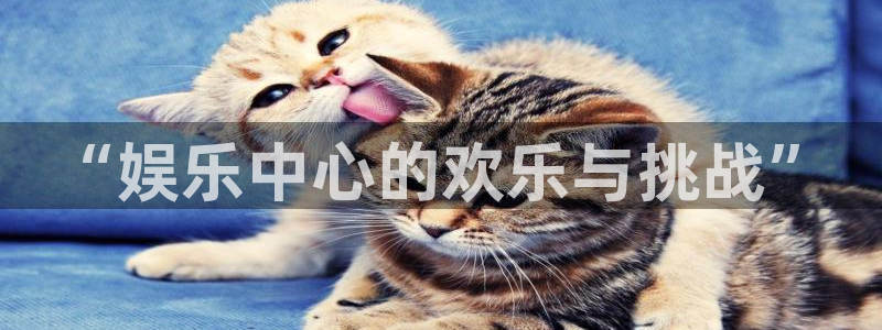 万事娱乐：“娱乐中心的欢乐与挑战”