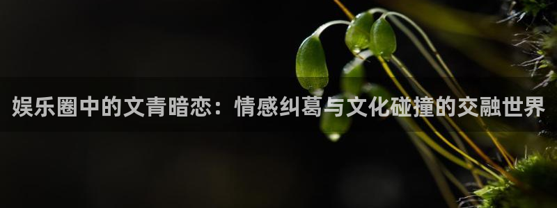 万事娱乐：娱乐圈中的文青暗恋：情感纠葛与文化碰撞的交融世界