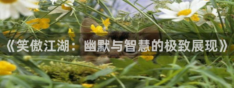 万事娱乐登录地址：《笑傲江湖：幽默与智慧的极致展现》