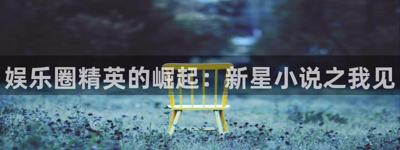 万事娱乐：娱乐圈精英的崛起：新星小说之我见