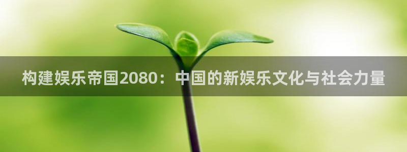 万事娱乐：构建娱乐帝国2080：中国的新娱乐文化与社会力量