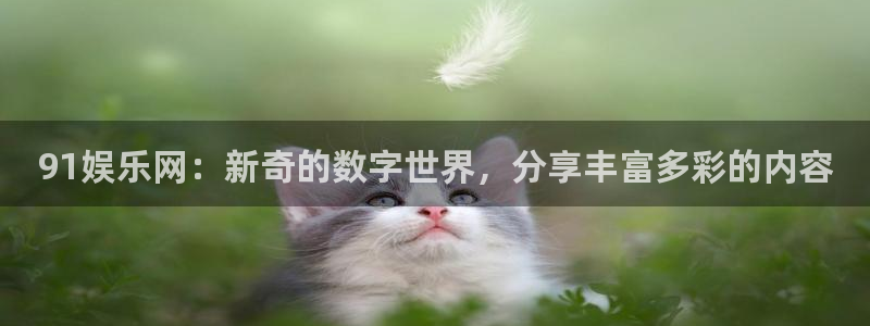 万事娱乐登录地址：91娱乐网：新奇的数字世界，分享丰富多彩的内容